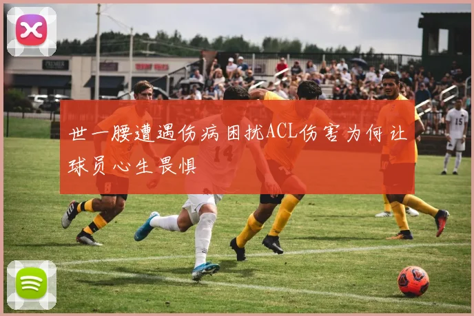 世一腰遭遇伤病困扰ACL伤害为何让球员心生畏惧